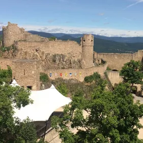 Découvrez les châteaux d'Alsace depuis les airs