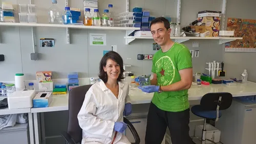 Innovation à Illkirch : des arbres lumineux