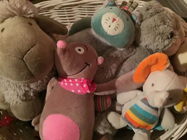 A Mulhouse, on recherche des doudous pour une expo