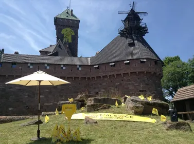 Tour de France : des animations autour de la montée du...