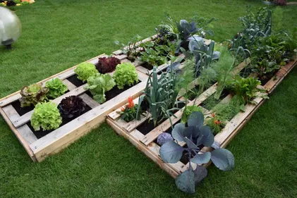 Préparer son potager malgré le confinement