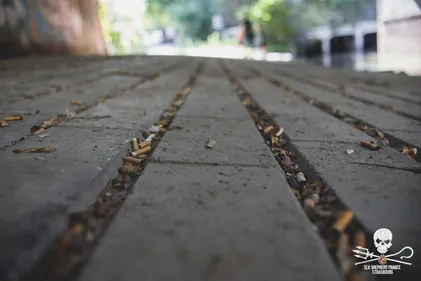 Mulhouse : Sea Shepherd organise une opération ramassage de mégots