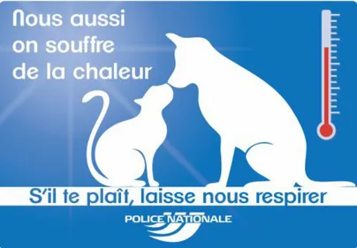 Animaux : attention au coup de chaud !