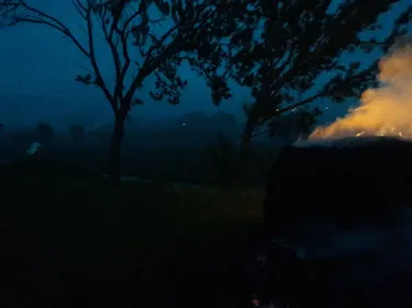 Des feux de paille pour protéger les vignes