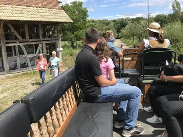 Une visite paisible à l'Ecomusée d'Alsace