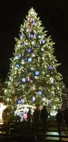 Strasbourg : démontage du grand sapin de la place Kléber