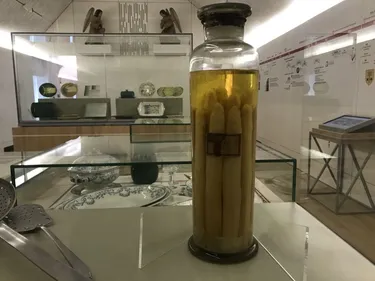 L'asperge a son musée à Hoerdt