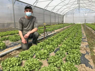 Gibier contre salade à Roppenheim
