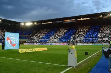 Rénovation de la Meinau : ce que les supporters en pensent