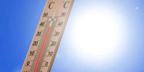 Niveau 3 de l'alerte canicule déclenché dans le Bas-Rhin 