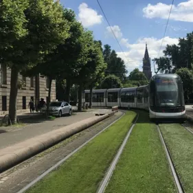 Grève mardi à la CTS : voici les perturbations à prévoir