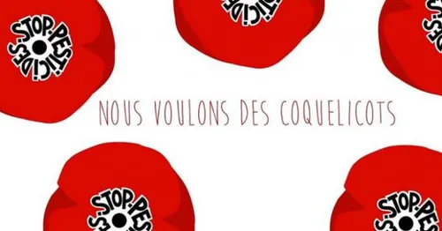 Des coquelicots contre les pesticides
