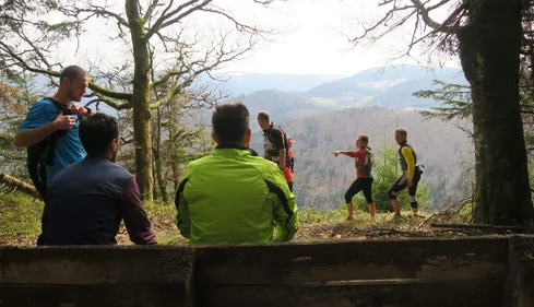 Trails du Val d'Argent : du 5 au 43 km