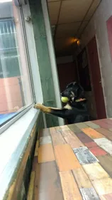 Confinement de Pâques : le Haut-Rhin encore plus strict que le...