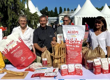 Alsépi, la nouvelle farine 100% alsacienne