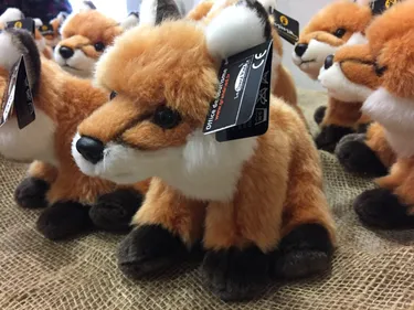 Foxy, nouvelle mascotte du Grand Ried