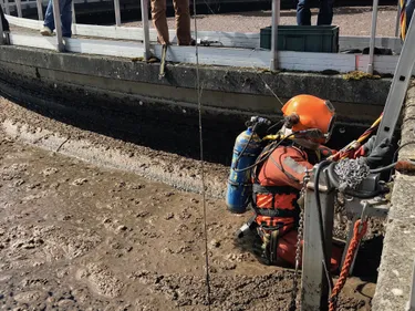 Plongée en eaux troubles à Sausheim