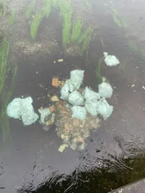 Des déchets de chantier dans la Moder à Neuhaeusel