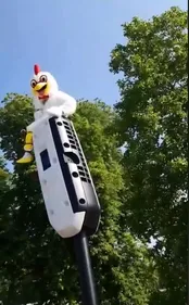 Il en a "marre d'être plumé" et se déguise en poulet ! 