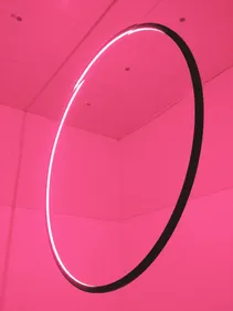 Décès d'une danseuse qui intervenait à Europa Park
