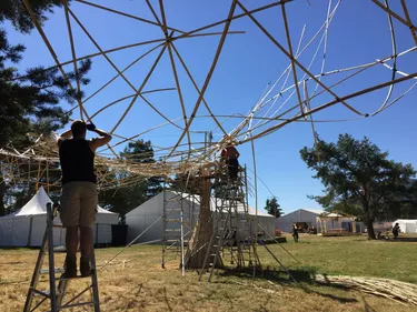 Décibulles : du foot et une canopée
