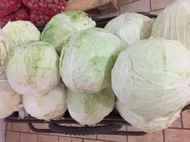 L'Europe reconnaît (enfin) la Choucroute d'Alsace