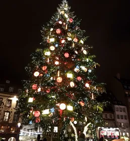 Strasbourg : y aura-t-il un sapin à Noël ?