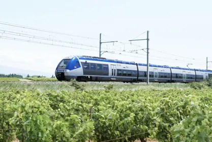 Des billets à petits prix à la SNCF pour relancer les TER