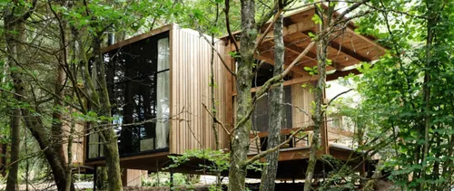 Tourisme en Alsace : un village de cabanes en bois à Plaine