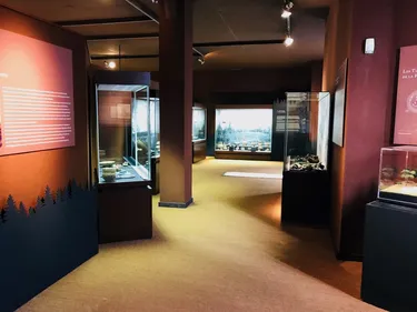 Quand Haguenau cachait ses trésors