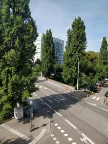 Opération "rues libérées" à Strasbourg et Mulhouse