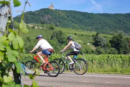 Redécouvrez le vignoble avec un "Fascinant week-end" !