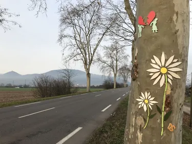 Le mystère des mosaïques de Sélestat