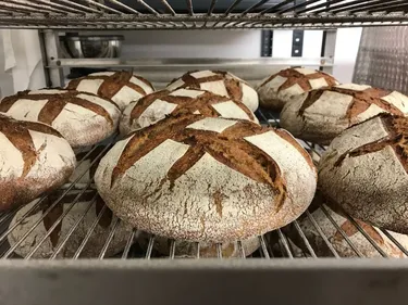 Hoerdt : De la graine au pain ! 