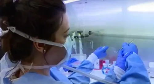 Un implant-pansement pour régénérer les articulations