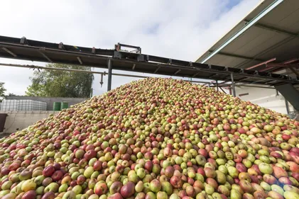 Sautter Pom'or : fabriquant alsacien de jus de fruits depuis 130 ans