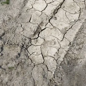 Des contrôles sur l'application des restrictions de l'usage de l'eau