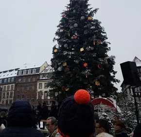 Strasbourg : la cérémonie d'hommage aux victimes de l'attentat
