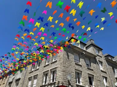 Sélestat cet été : entre street art, arbre, opéra et yoga