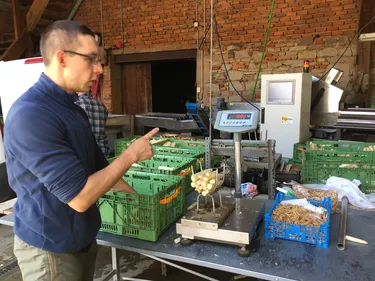 L'asperge d'Alsace, un grand millésime ! 