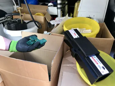 Chasse aux rats ouverte à Colmar