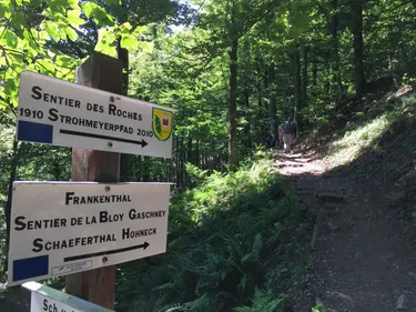 De bons conseils pour randonner en toute sécurité