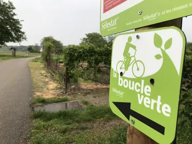 Promenade nature en pleine ville à Sélestat