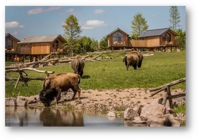 Réouverture partielle du parc animalier de Sainte-Croix