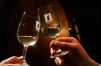 Les Vignerons indépendants d'Alsace : confinés mais plein d'idées