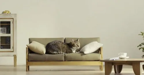 Des canapés pour votre chat !