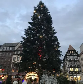 Le show des illuminations de Strasbourg avec Chimène Badi