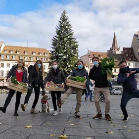 Retrouvez en ligne le marché de Noël off de Strasbourg