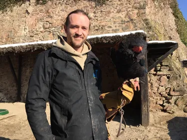 Réouverture imminente de la Montagne des singes et de la Volerie...