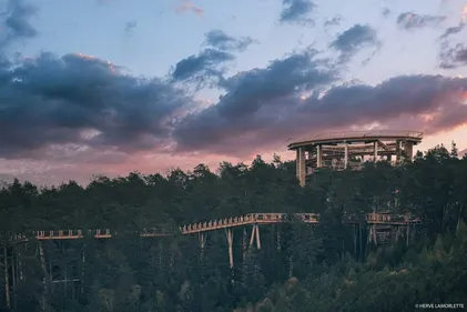 En pleine forêt : le Chemin des Cimes